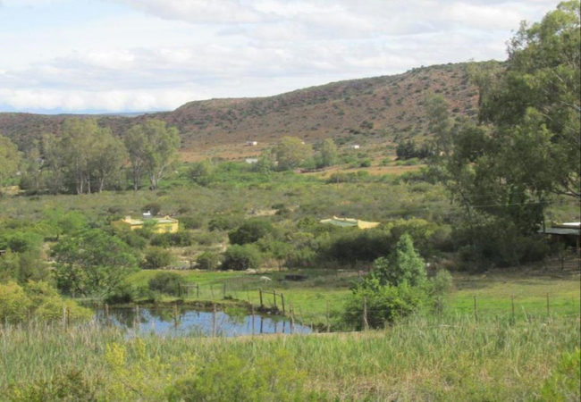 Farm Views