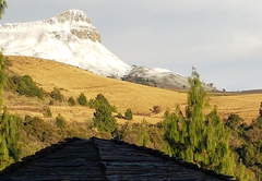 Dargle Forest Lodge