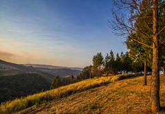 Dargle Forest Lodge