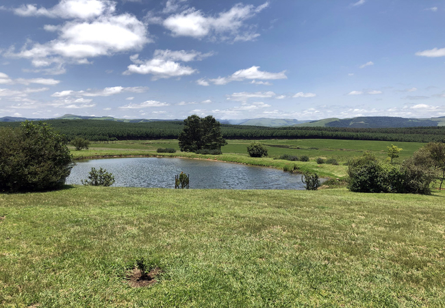 Dam in front of cottage