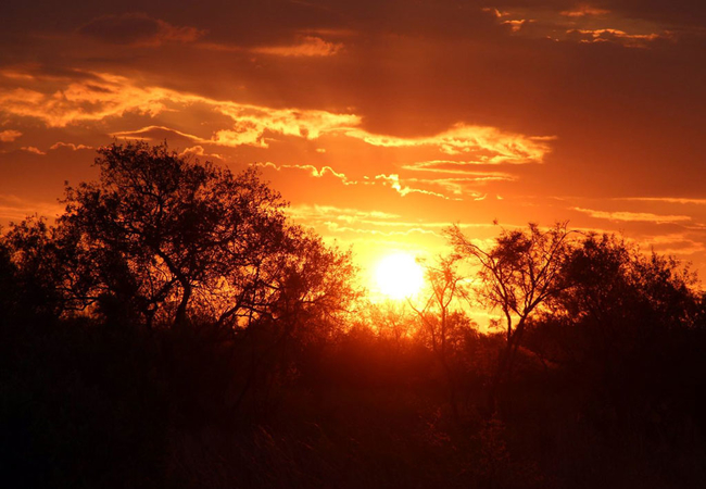 De Kleine Serengeti