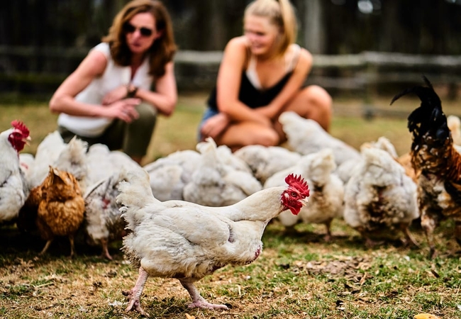 Doornbosch Game Farm