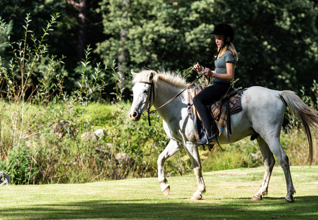 Drakensberg Gardens Golf 