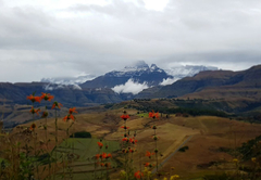 Winter mountain view