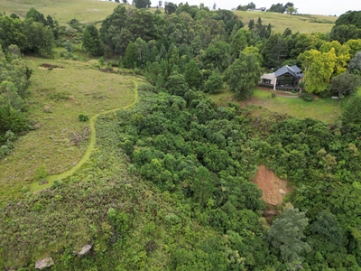 Drakenzicht KZN