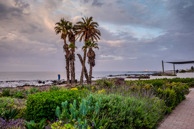 Driftwood Beachfront Manor