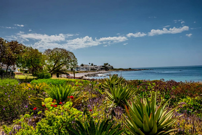 Driftwood Beachfront Manor