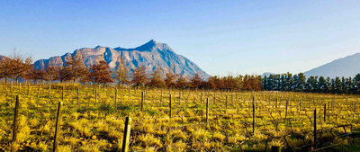 Duikersdrift Winelands Country Escape