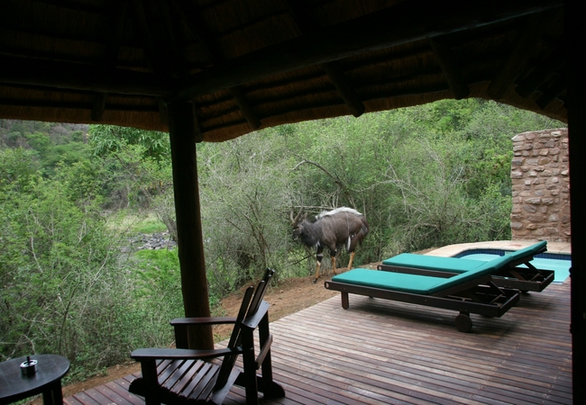 duma manzi safari river lodge