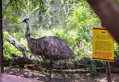 DumaZulu Lodge & Traditional Village