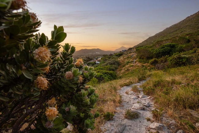 Hiking trail