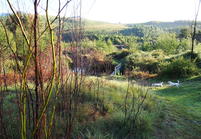 Walking Trail