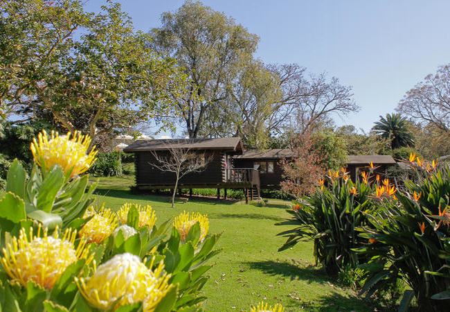 Double/Twin Rooms - Swiss Village Cabins 