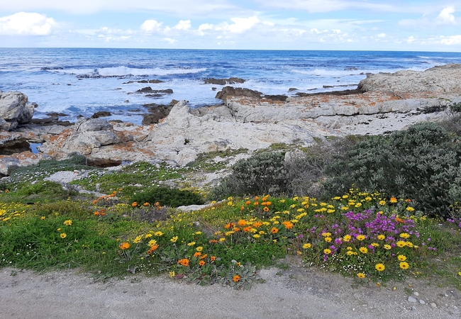 coastal hike