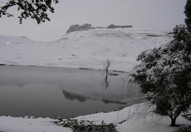 Eland Valley Resort in Underberg, KwaZulu Natal