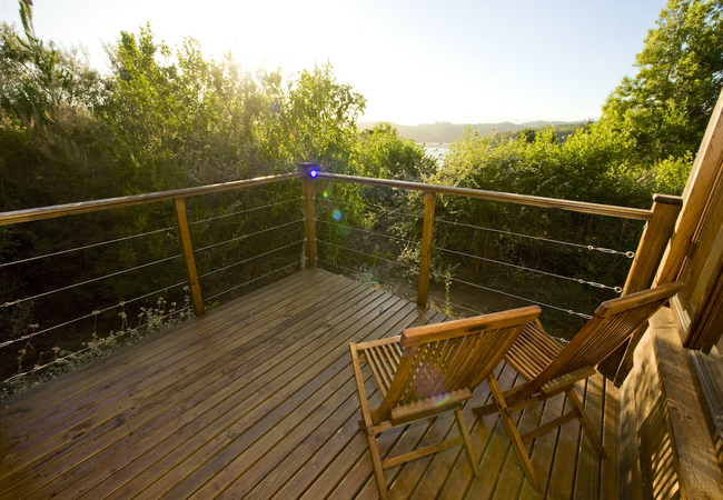 Fynbos Suite