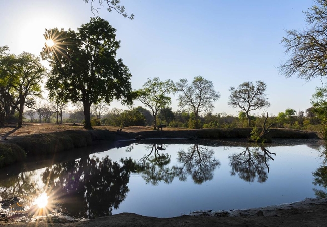 Elephant Plains Game Lodge