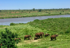 Safari Lodge Elephant Walk Retreat - Komatipoort Unterkunft, Mpumalanga