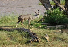 Emhosheni River Lodge