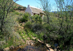 Lonely Planet Cottage