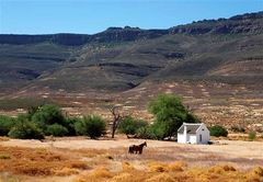 Oak Cottage