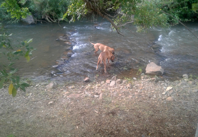 Groot Marico River