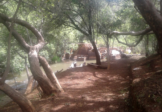 Picnic down at the river