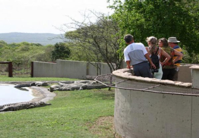 Ezulwini Game Lodge