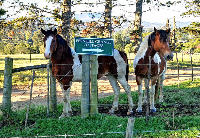 Entrance to Farm Cottages