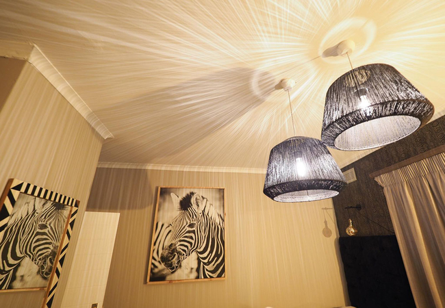 Zebra Room