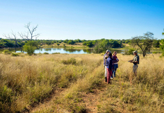 Finfoot Lake Reserve