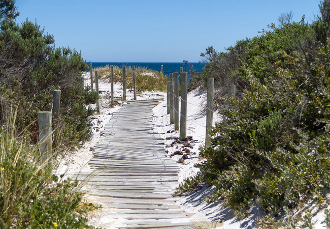 Fin Whale Beach House