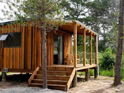 Forest Gate Luxury Cabin