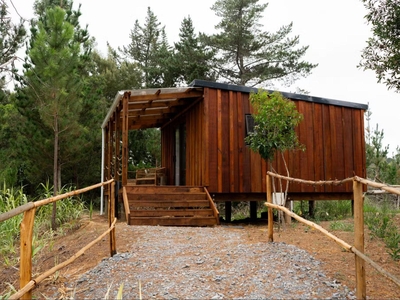 Forest Gate Luxury Cabin