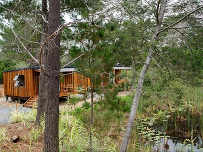 Forest Gate Luxury Cabin