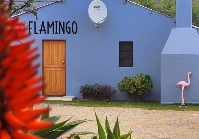 Flamingo Cottage 