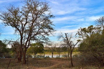 Foxy Crocodile Bush Retreat