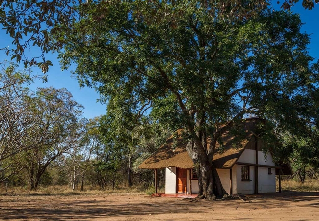 Wild Ride Safaris and Bush Camp