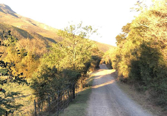 Nguni Cottage at Frog Mountain