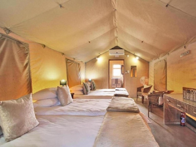 Luxury Twin Tent