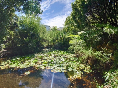 Fynbos House