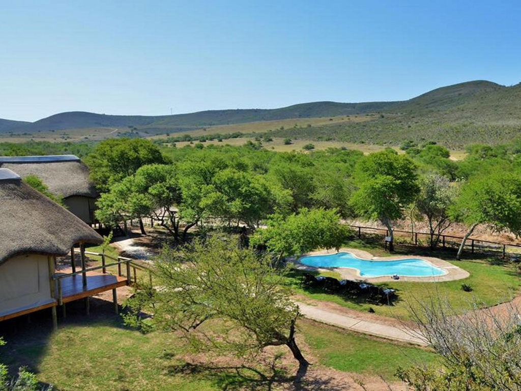 Garden Route Safari Camp