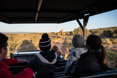 Giraffe Tower Private Villa