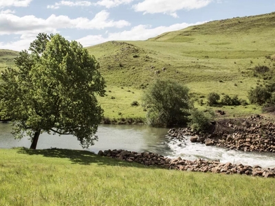 Glentowy Farm Underberg