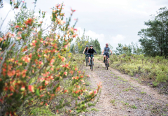 Mountain biking