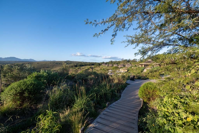 Fynbos Villas