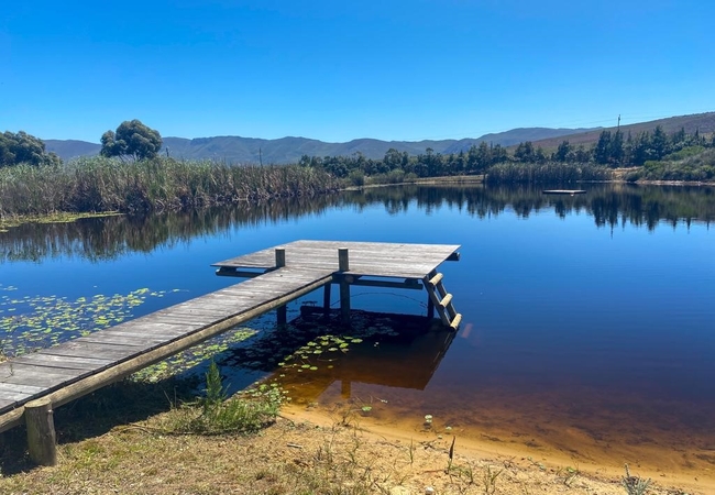 The Dam at Vineyard Cottage