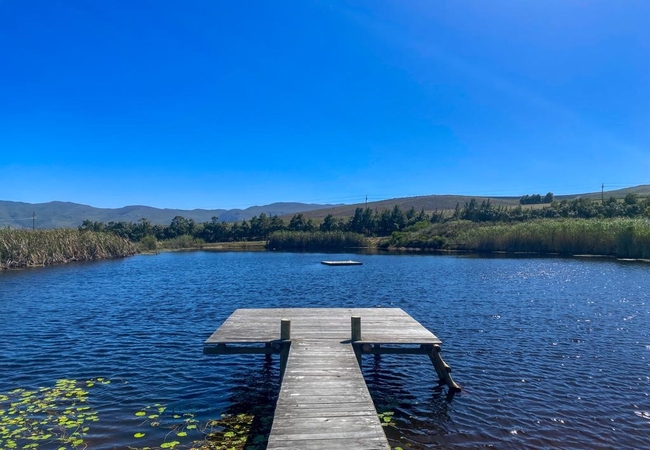 The Dam at Vineyard Cottage