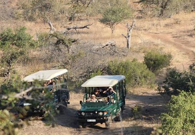 Game Drives