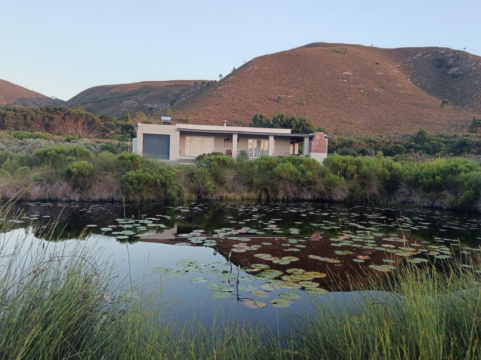 Blombos at Groeneweide